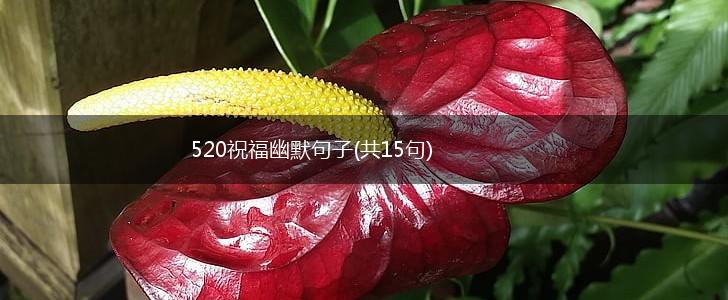 520祝福幽默句子(共15句),第1张