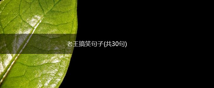 老王搞笑句子(共30句),第1张