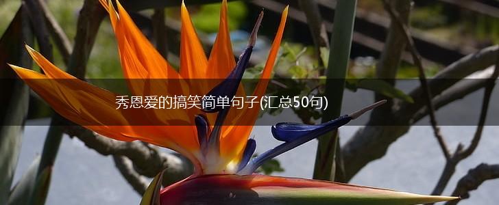 秀恩爱的搞笑简单句子(汇总50句),第1张