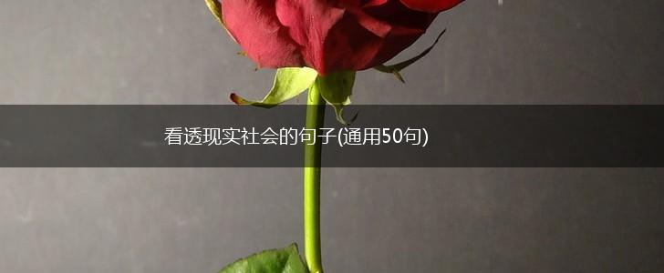 看透现实社会的句子(通用50句),第1张