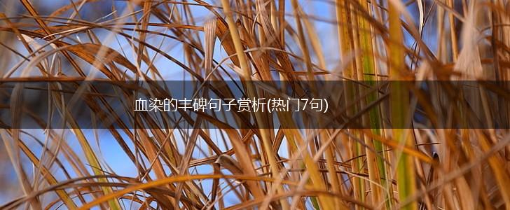 血染的丰碑句子赏析(热门7句),第1张