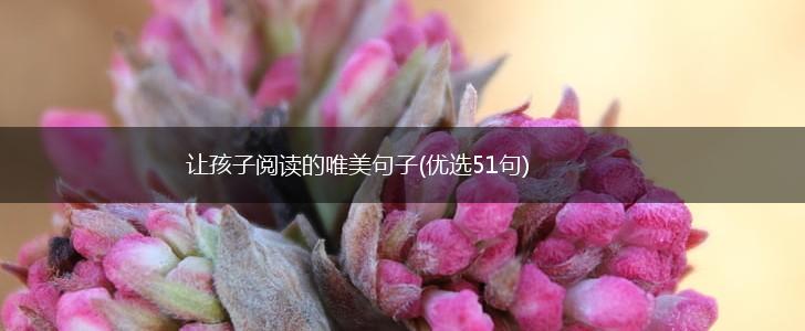 让孩子阅读的唯美句子(优选51句),第1张
