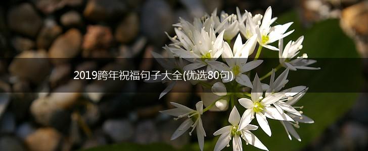 2019跨年祝福句子大全(优选80句),第1张