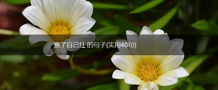 累了自己扛 的句子(实用40句),第1张