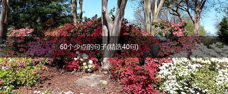 60个少点的句子(精选40句),第1张