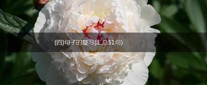 (四)句子的复习(汇总51句),第1张