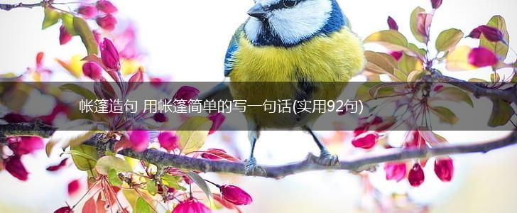 帐篷造句 用帐篷简单的写一句话(实用92句),第1张