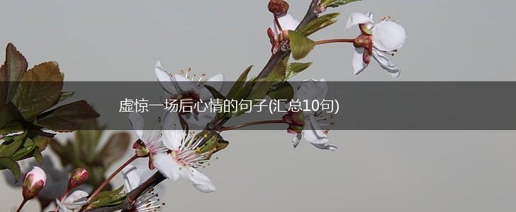虚惊一场后心情的句子(汇总10句),第1张