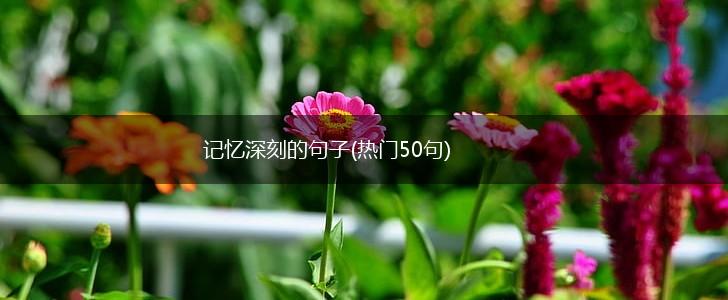 记忆深刻的句子(热门50句),第1张