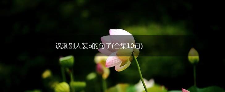 讽刺别人装b的句子(合集10句),第1张