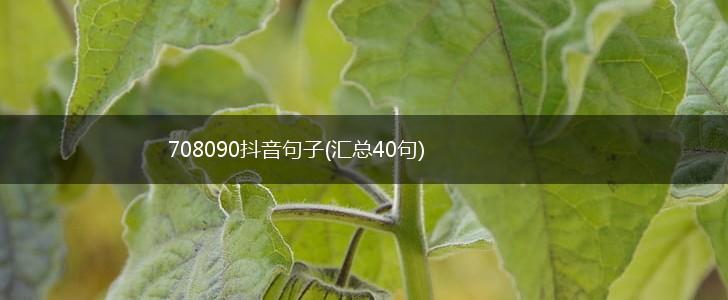 708090抖音句子(汇总40句),第1张