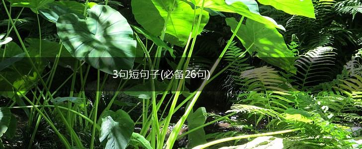 3句短句子(必备26句),第1张