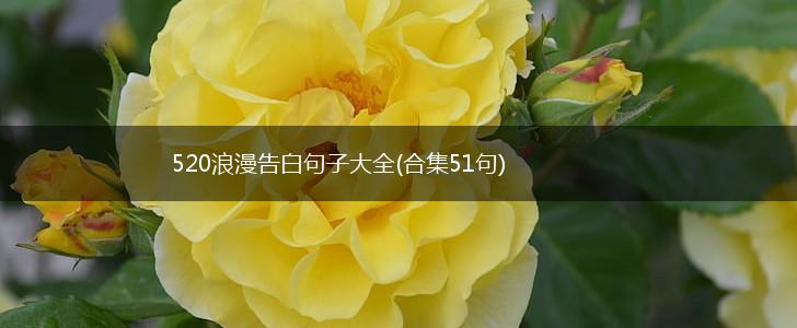 520浪漫告白句子大全(合集51句),第1张
