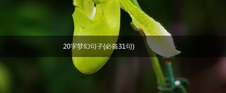 20字梦幻句子(必备31句),第1张