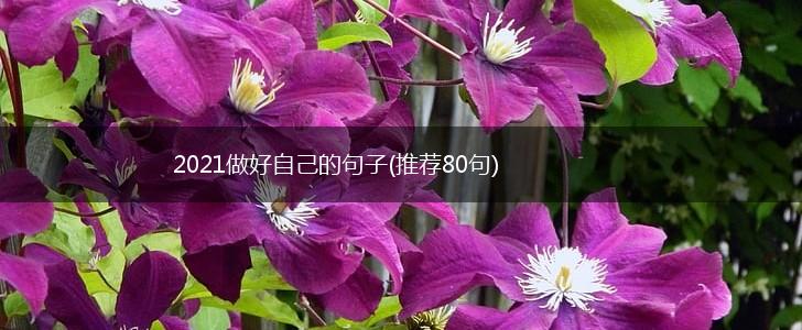 2021做好自己的句子(推荐80句),第1张