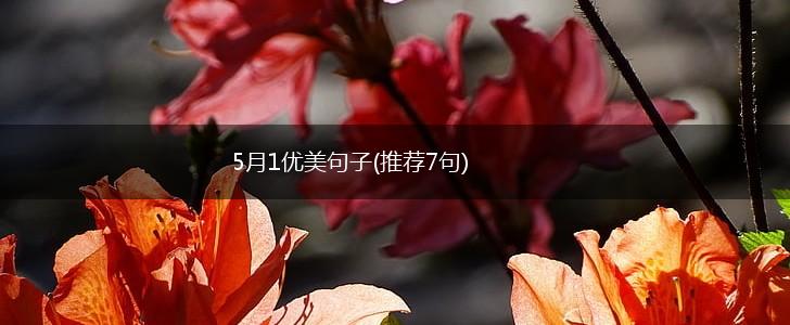 5月1优美句子(推荐7句),第1张