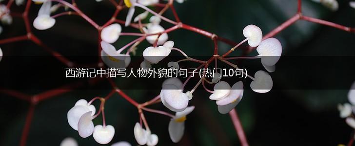 西游记中描写人物外貌的句子(热门10句),第1张