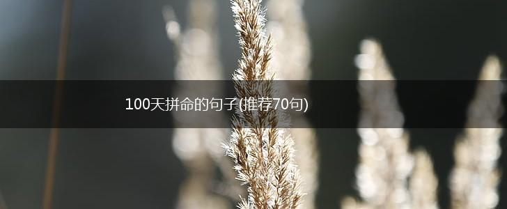 100天拼命的句子(推荐70句),第1张