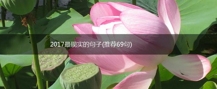 2017最现实的句子(推荐69句),第1张