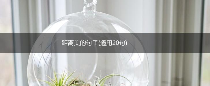 距离美的句子(通用20句),第1张