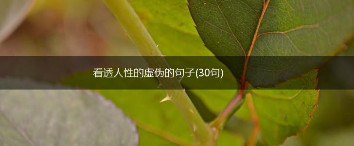 看透人性的虚伪的句子(30句),第1张