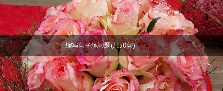 缩写句子练习题(共50句),第1张