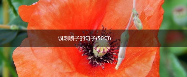 讽刺喷子的句子(50句),第1张