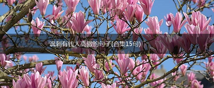 讽刺有钱人高傲的句子(合集15句),第1张