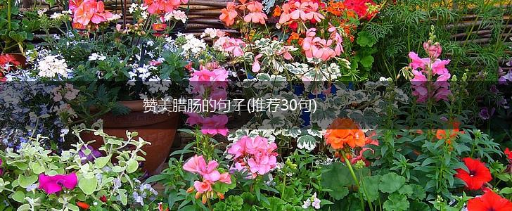 赞美腊肠的句子(推荐30句),第1张