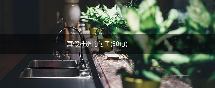 真假难辨的句子(50句),第1张