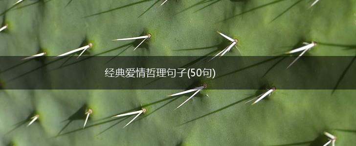 经典爱情哲理句子(50句),第1张