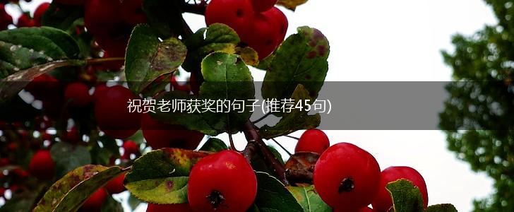 祝贺老师获奖的句子(推荐45句),第1张