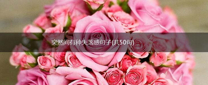 突然间有种失落感句子(共50句),第1张