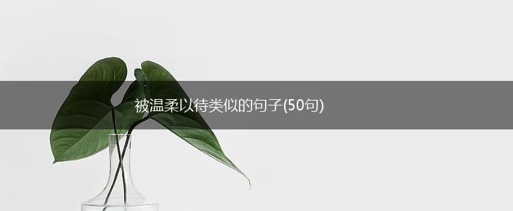 被温柔以待类似的句子(50句),第1张