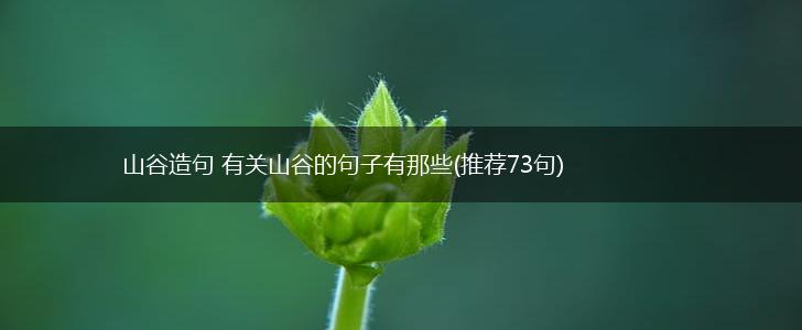 山谷造句 有关山谷的句子有那些(推荐73句),第1张