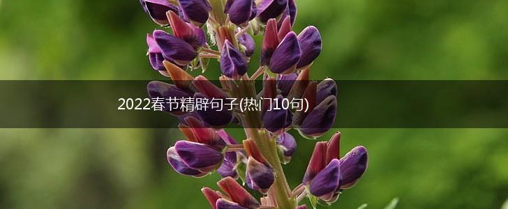 2022春节精辟句子(热门10句),第1张
