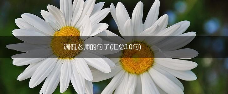 调侃老师的句子(汇总10句),第1张