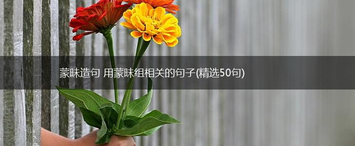 蒙昧造句 用蒙昧组相关的句子(精选50句),第1张