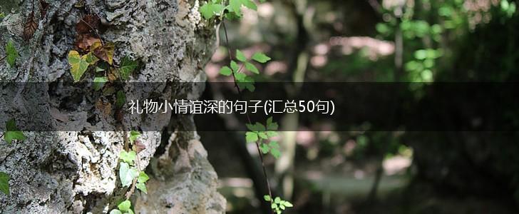 礼物小情谊深的句子(汇总50句),第1张