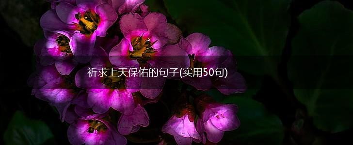 祈求上天保佑的句子(实用50句),第1张