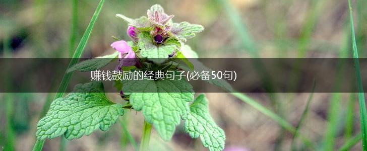 赚钱鼓励的经典句子(必备50句),第1张