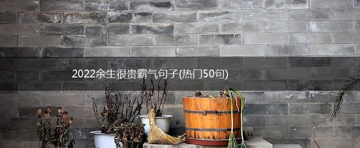 2022余生很贵霸气句子(热门50句),第1张