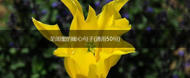 至闺蜜的暖心句子(通用50句),第1张