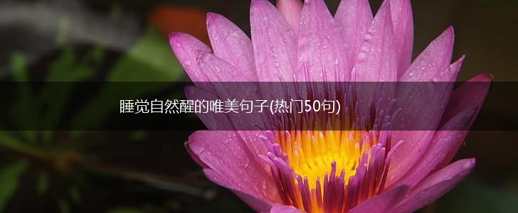 睡觉自然醒的唯美句子(热门50句),第1张