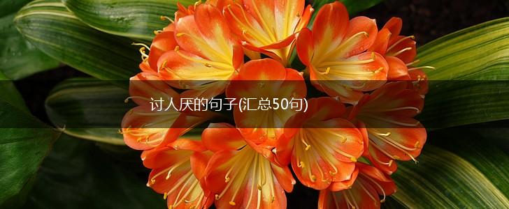 讨人厌的句子(汇总50句),第1张