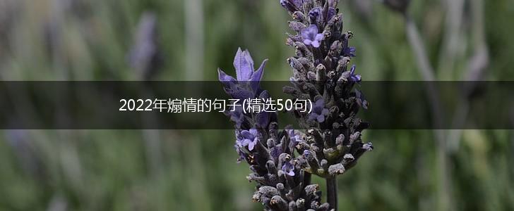 2022年煽情的句子(精选50句),第1张
