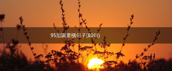95加满豪横句子(80句),第1张