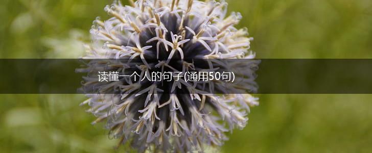 读懂一个人的句子(通用50句),第1张