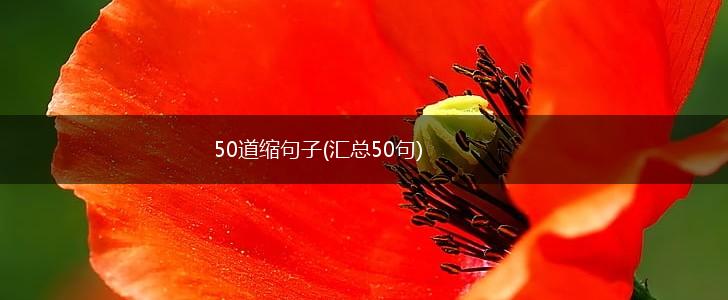 50道缩句子(汇总50句),第1张