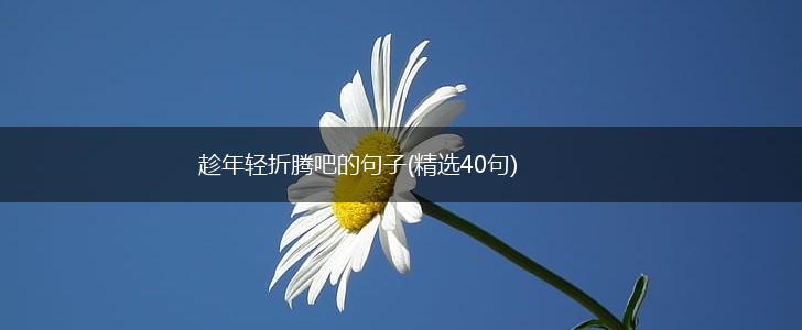 趁年轻折腾吧的句子(精选40句),第1张